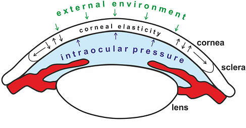 Non-Contact Tonometers 1