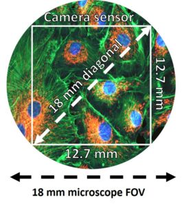 3箍tegies for Field Lens Development and Design 3